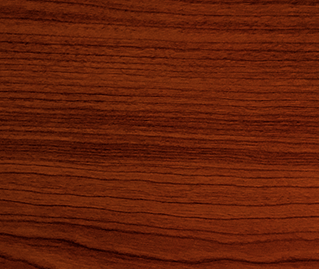 Efectos al pasar el cursor sobre la imagen