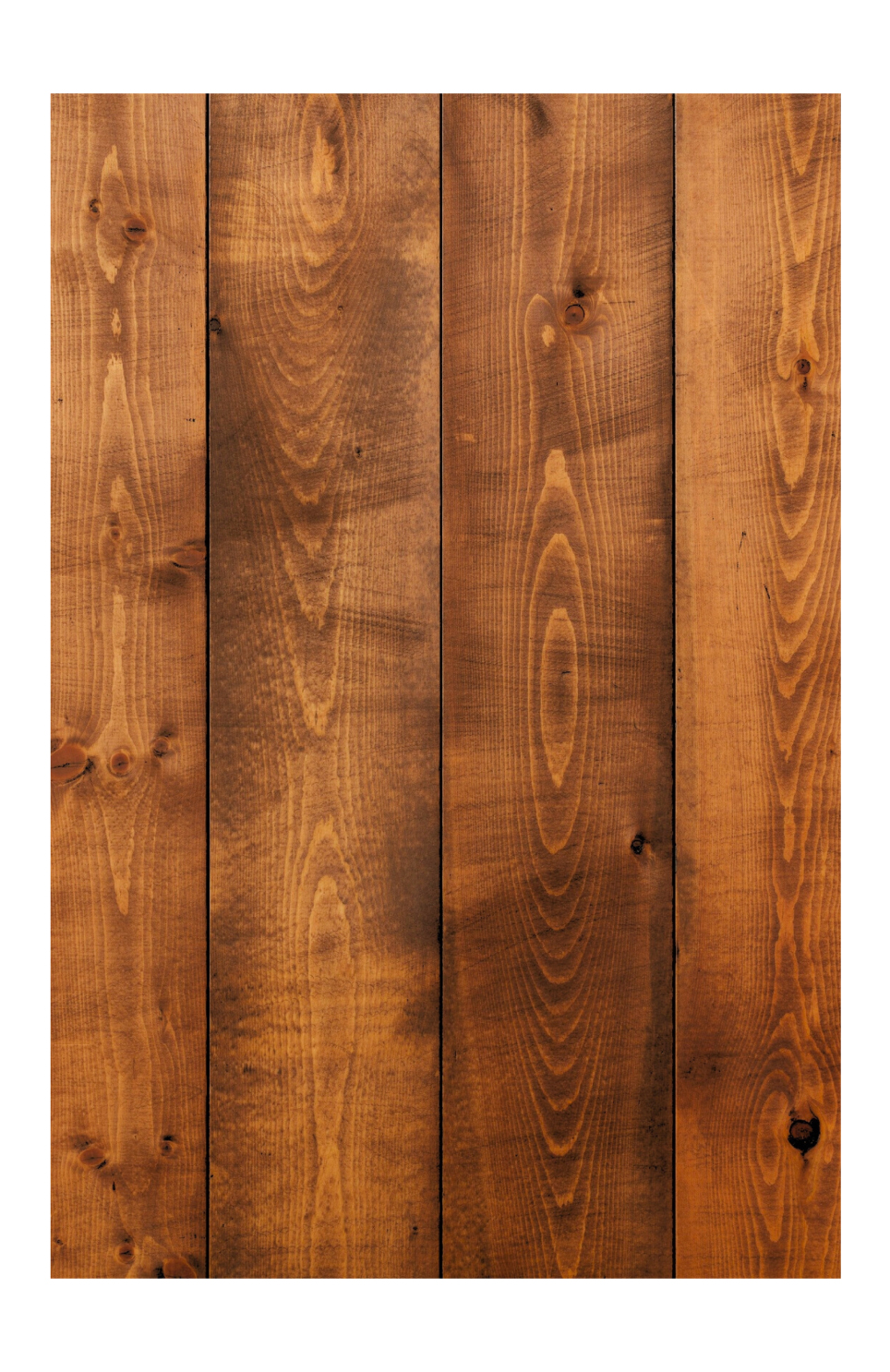 Efectos al pasar el cursor sobre la imagen