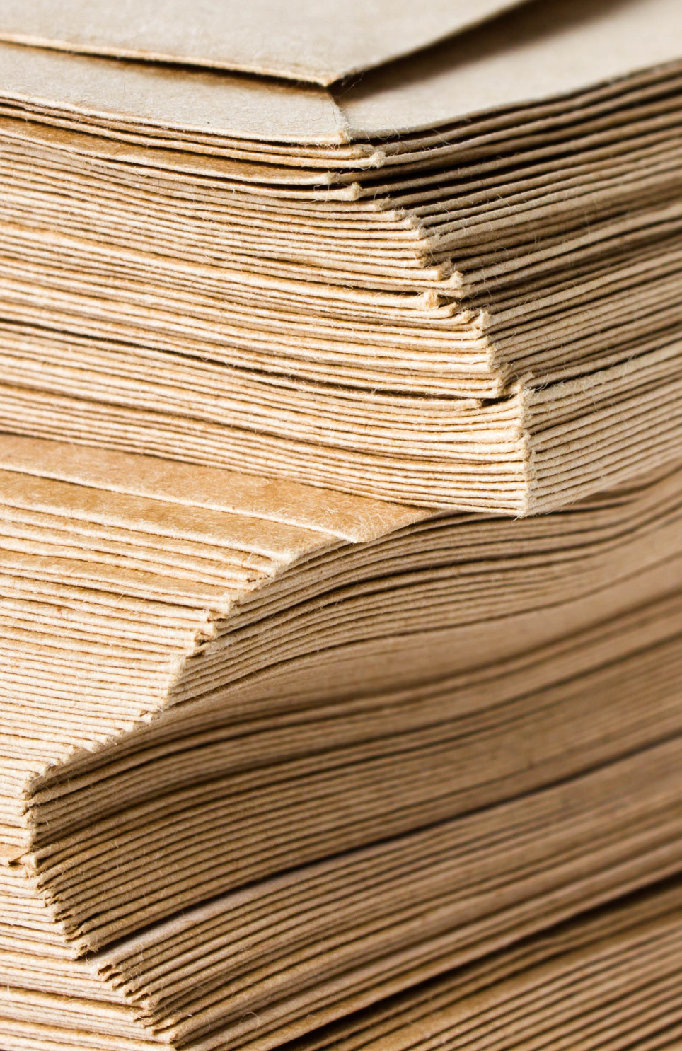 Efectos al pasar el cursor sobre la imagen