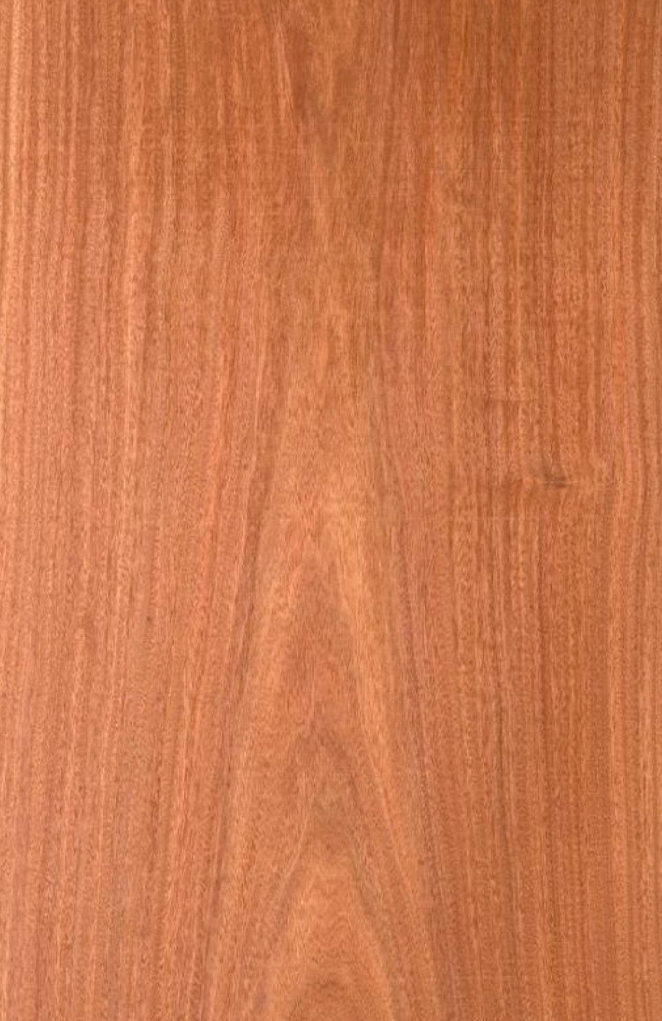 Efectos al pasar el cursor sobre la imagen