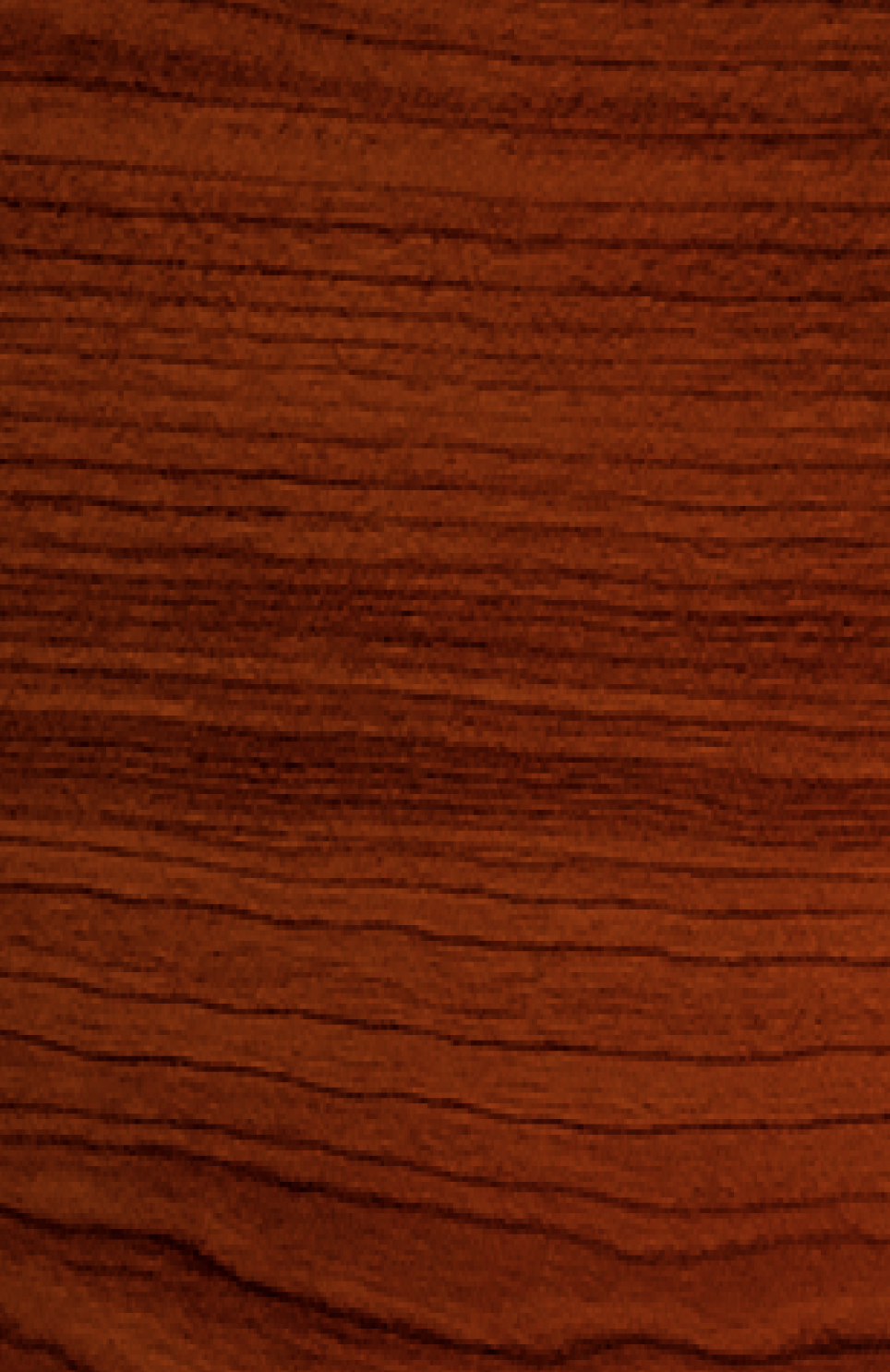 Efectos al pasar el cursor sobre la imagen